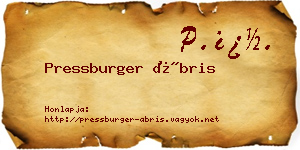 Pressburger Ábris névjegykártya